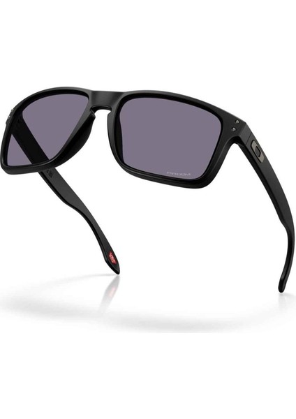 Holbrook Xxl Unisex Gözlük 0OO9487-OAK.1 modelleri