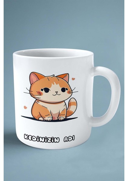 Cymric Kedisi Kedi Isimli Kişiye Özel Baskılı Kupa Bardak Model 7 fiyatları