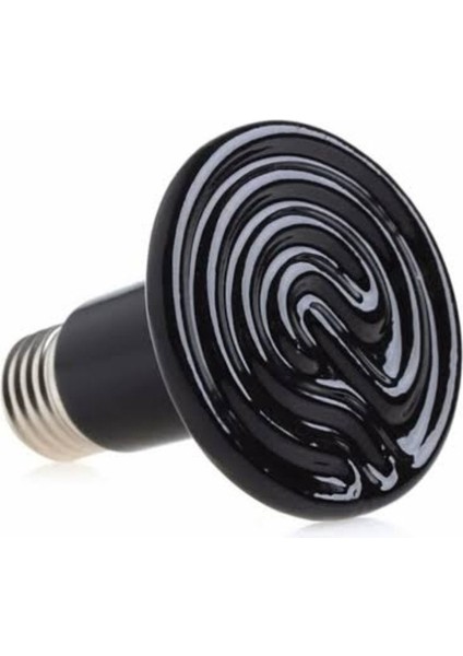 6 Adet 100 Watt Seramik Isıtıcı Ampul