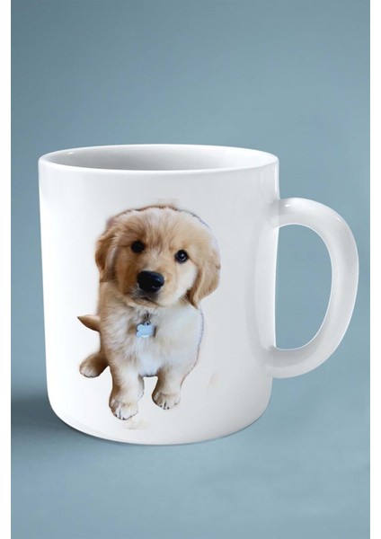 Golden Retriever Köpek Isimli Kişiye Özel Baskılı Kupa Bardak Kemik Tasma