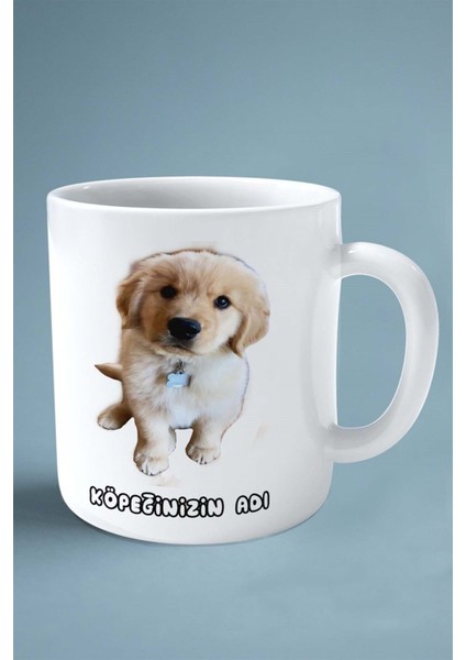 Golden Retriever Köpek Isimli Kişiye Özel Baskılı Kupa Bardak Kemik Tasma fiyatları