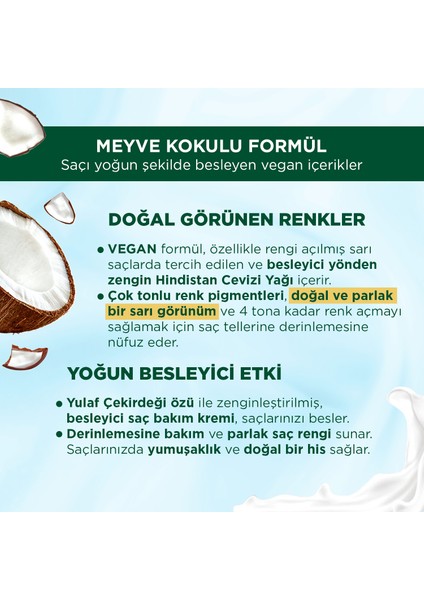 Kalıcı Doğal Renkler 12-1 Küllü Buzul Sarısı Hindistan Cevizi Yağı Saç Boyası