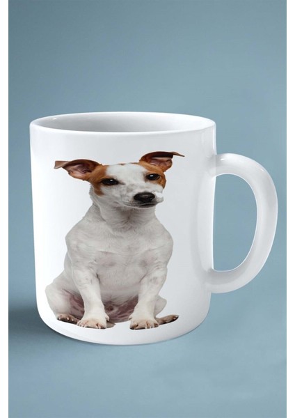 Jack Russell Terrier Köpek Isimli Kişiye Özel Baskılı Kupa Bardak Model