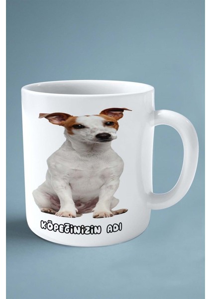 Jack Russell Terrier Köpek Isimli Kişiye Özel Baskılı Kupa Bardak Model fiyatları