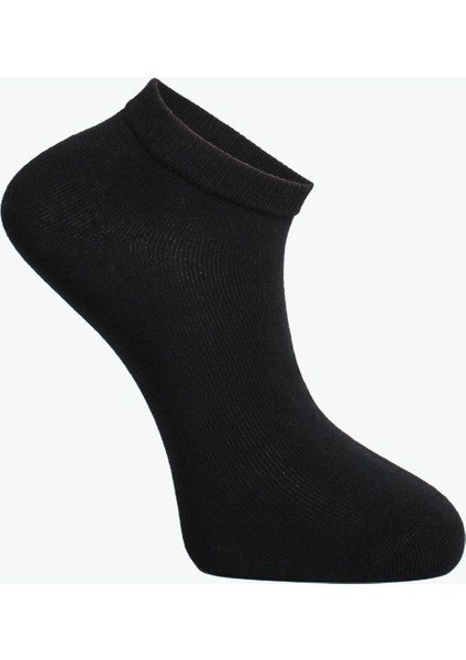 7'li Organik Penye Pamuk Erkek Patik Çorap Soğuk Renkler