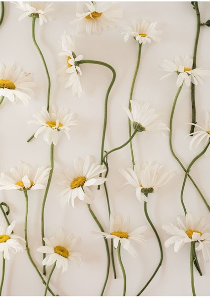 Harikabirev|papatyalar Desenli Model|çerçeveli Temperli Cam Tablo Tekli Dikey fiyatları