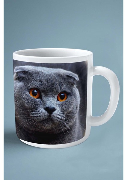Scottish Foldi Kedi Isimli Kişiye Özel Baskılı Kupa Bardak Model 4