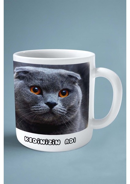 Scottish Foldi Kedi Isimli Kişiye Özel Baskılı Kupa Bardak Model 4 fiyatları