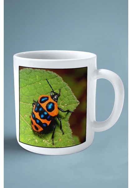 Böcek Baskılı Kupa Bardak Çift Taraflı Kişiye Özel Çerçeveli Renkli Model 2