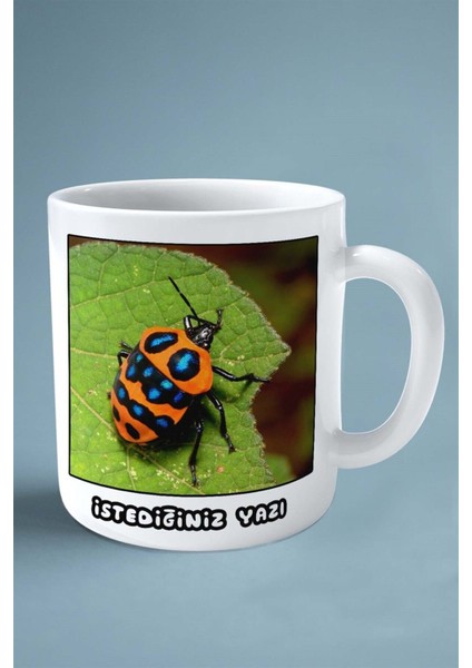 Böcek Baskılı Kupa Bardak Çift Taraflı Kişiye Özel Çerçeveli Renkli Model 2 fiyatları
