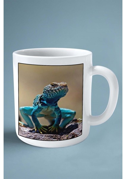 Kertenkele Baskılı Kupa Bardak Çift Taraflı Kişiye Özel Çerçeveli Renkli Model 3