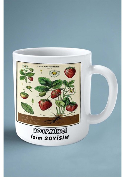 Botanikçi Baskılı Kupa Bardak Çift Taraflı Baskı Kişiye Özel Model 7