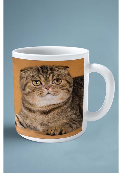 Foldex Kedisi Kedi Isimli Kişiye Özel Baskılı Kupa Bardak Model 9