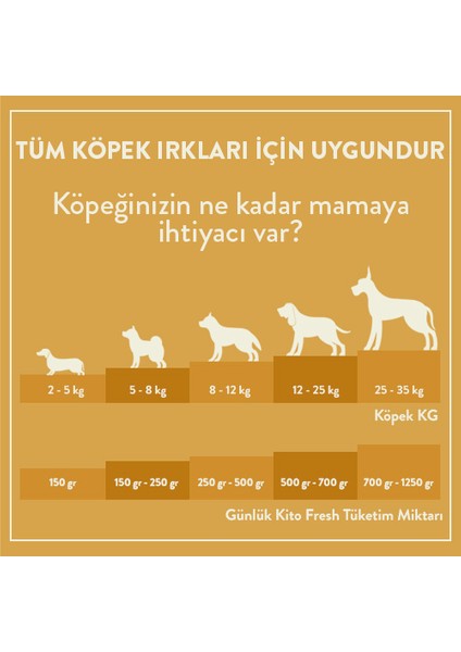 Fresh Hindi Etli x 6 (1,5 Kg) fiyatları