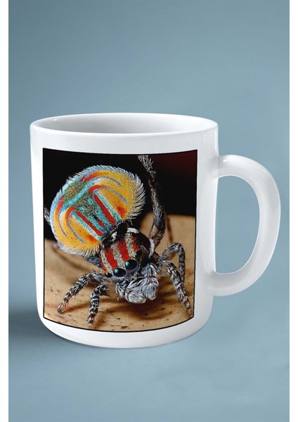 Örümcek Baskılı Kupa Bardak Çift Taraflı Kişiye Özel Çerçeveli Renkli Model 4