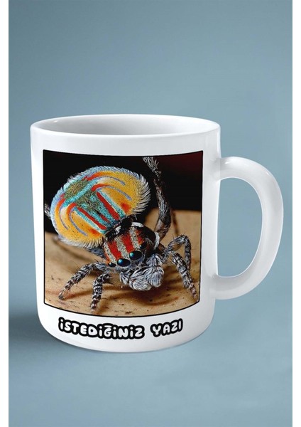 Örümcek Baskılı Kupa Bardak Çift Taraflı Kişiye Özel Çerçeveli Renkli Model 4 fiyatları