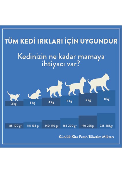 Fresh Ton Balıklı Kedi Yemeği 85 gr modelleri