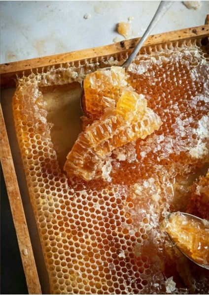 Kendi Arılarımızdan 1kg Süzme Bal Tatların Özünü Yansıtan, Kendine Özgü Lezzet Profiliyle