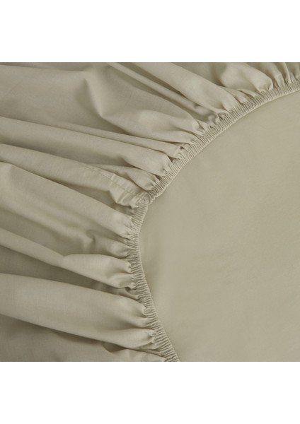 Basic %100 Pamuk Çift Kişilik Lastikli Çarşaf Adaçayı fiyatları