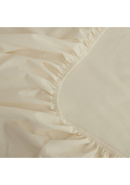 Basic Pamuk King Kişilik Lastikli Çarşaf Ekru fiyatları