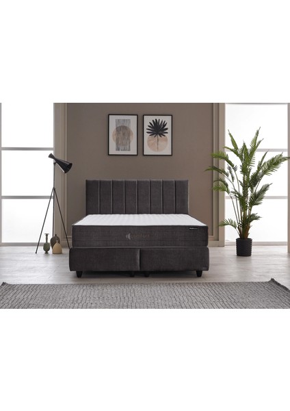 Comfort Yatak | Soft Pocket Yay – Çift Katmanlı Soft Konfor Süngeri – Orta Yumuşak – Roll Pack