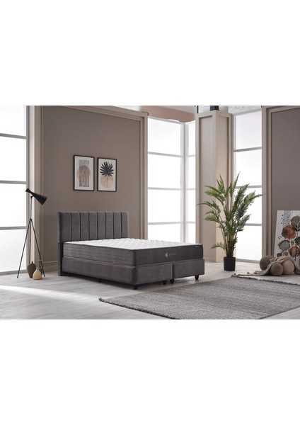 Comfort Yatak | Soft Pocket Yay – Çift Katmanlı Soft Konfor Süngeri – Orta Yumuşak – Roll Pack fiyatları