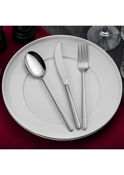 Didim 89 Parça Parlak Çatal Kaşık Bıçak Takımı Kutulu