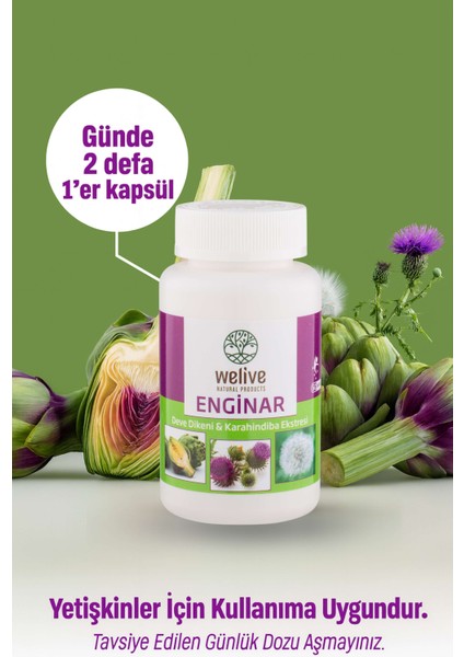 Enginar & Devedikeni & Karahindiba Ekstresi 60 Cap