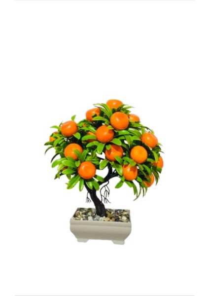 Dekoratif Mandalina Ağacı fiyatları