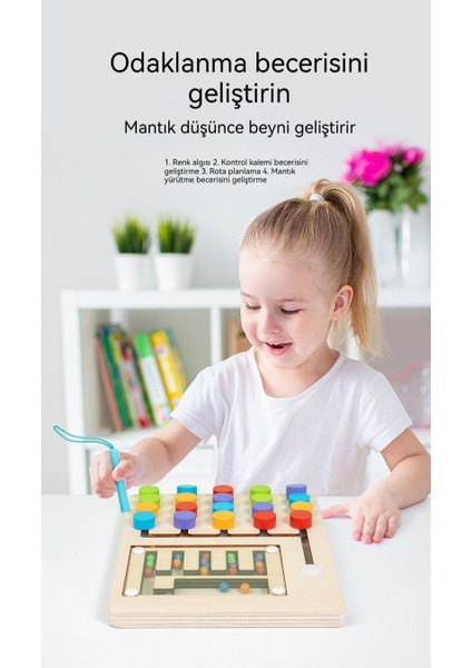 Çocuk Düşünme Eğitimi Ahşap Top Beş Renk Yürüme Eğitici Oyuncak (Yurt Dışından) modelleri