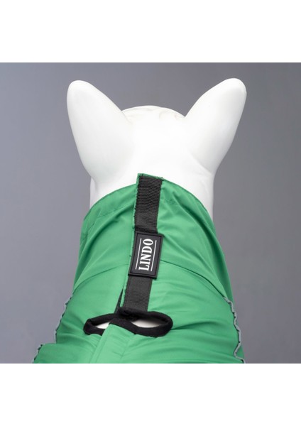 Dogs Quattro Nebula Köpek Yağmurluğu Yeşil Beden 4