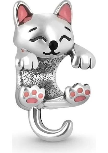 Miniş Kedi Charm fiyatları