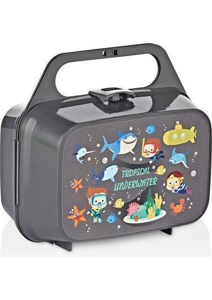 Bölmeli Taşınabilir Yemek Kutusu, Desenli Saklama Kabı, Pratik Çanta modelleri