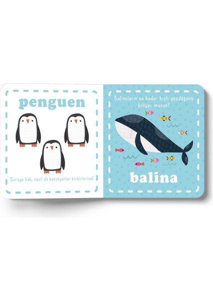 Hışırtılı Kumaş Kitabım - Doğa fiyatları