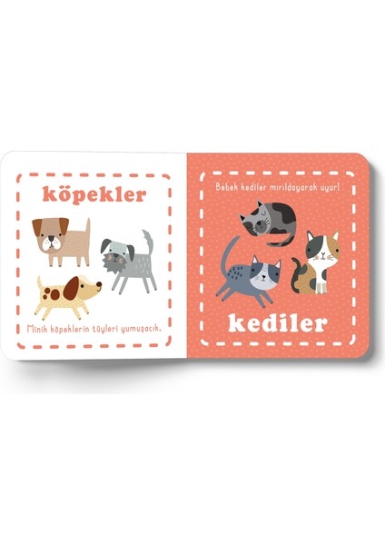 Hışırtılı Kumaş Kitabım - Yavru fiyatları