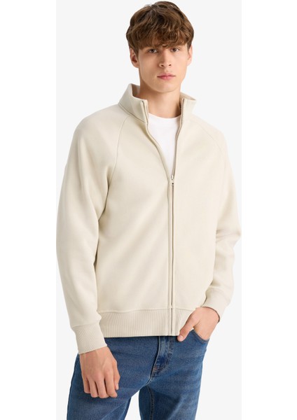 Boxy Fit Dik Yaka Baskılı İçi Yumuşak Tüylü Cepli Fermuarlı Sweatshirt E1367AX25AU modelleri