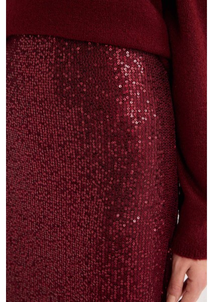 A Kesim Normal Bel Payetli Kumaş Maxi Etek E2440AX24WN indirimleri