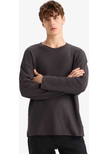 Boxy Fit Rahat Kesim Bisiklet Yaka Pamuklu Uzun Kollu Tişört E8437AX25AU