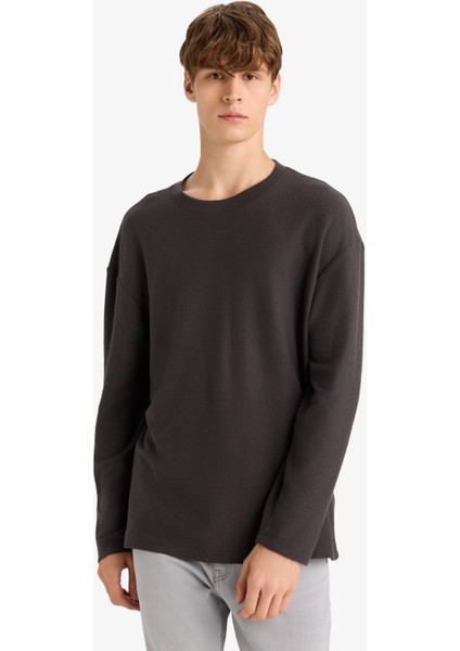 Boxy Fit Rahat Kesim Bisiklet Yaka Yumuşak Kumaş Basic Düz Sweatshirt F4642AX25AU modelleri