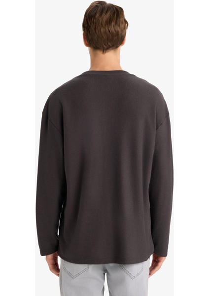 Boxy Fit Rahat Kesim Bisiklet Yaka Yumuşak Kumaş Basic Düz Sweatshirt F4642AX25AU