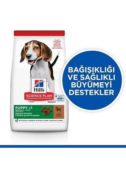 Puppy Kuzu Etli Yavru Köpek Maması 12 kg +2 kg fiyatları