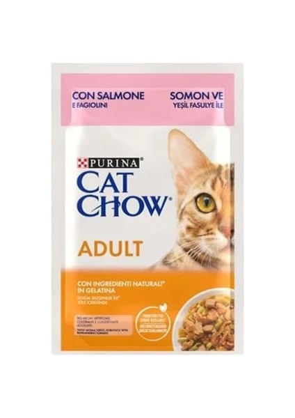 Yetişkin Kedi Somonlu ve Yeşil Fasulyeli Yaş Mama 85 gr