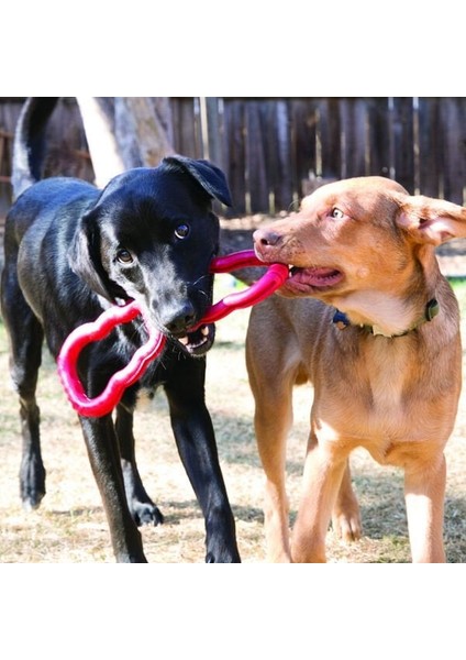 Kong Köpek Tut-Çek Oyuncak 33 cm fiyatları