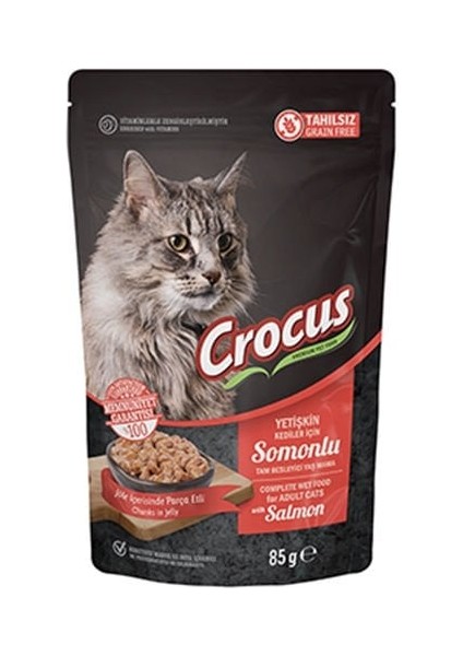 Tahılsız Somonlu Jöleli Pouch Kediler için Yaş Mama 85 G