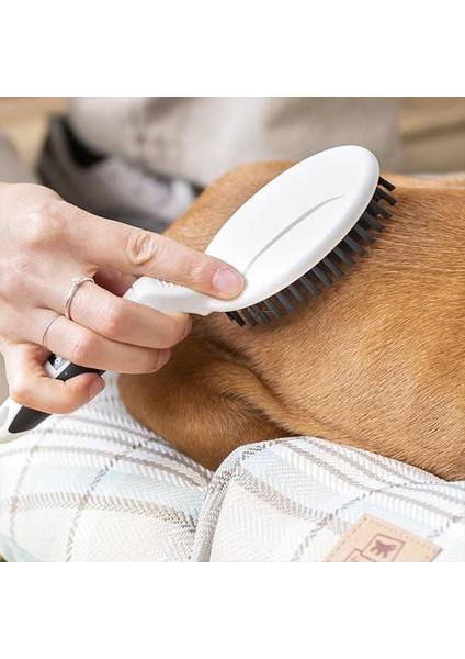Gro 5759 Small Kedi - Köpek Tarama Fırçası fiyatları