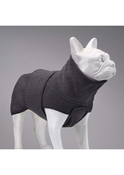 Ashen Grey Süveter Köpek Kıyafeti Gri Beden 3