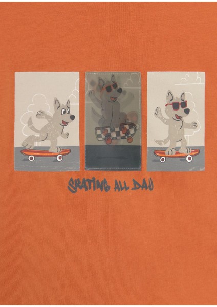 Erkek Bebek Baskılı Sweatshirt modelleri