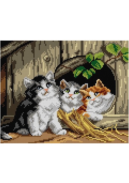 Baskılı Goblen Kediler 2885 24*30 cm