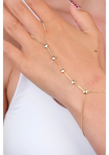 14 Ayar Altın Yıldızlı Şahmeran 731 fiyatları