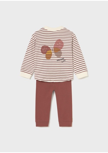 Kız Bebek Tayt Sweat Takım fiyatları